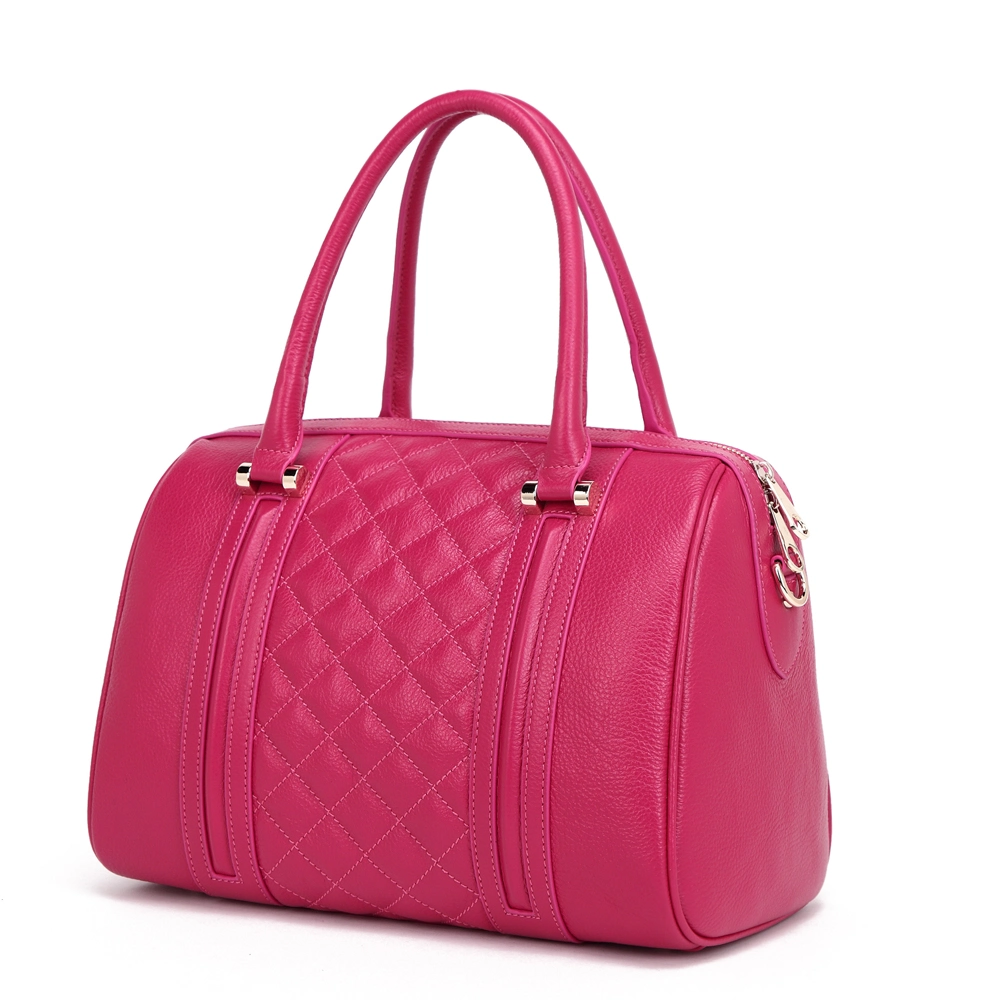 Customized New Design OEM & ODM High Quality Women Fashion Leather Handbag (S-010)
